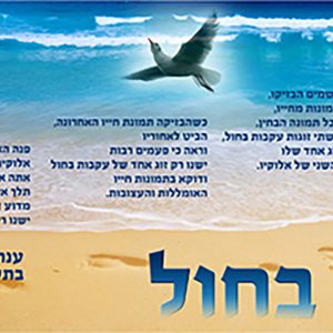 עקבות בחול - השגחה פרטית