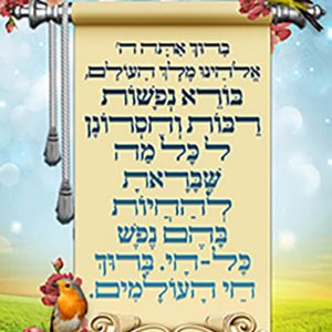 בורא נפשות